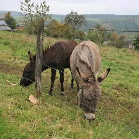Situated At The Edge Of The Woods, Cleaning Included