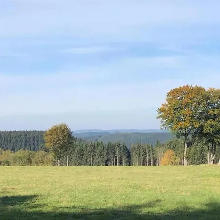 Situated At The Edge Of The Woods, Cleaning Included